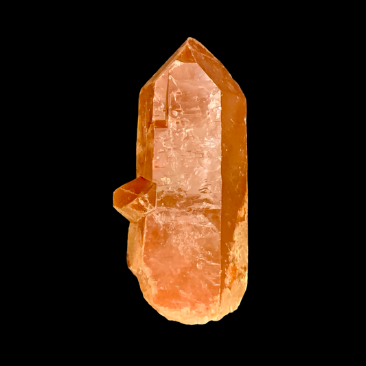 Tamarind Lemurian