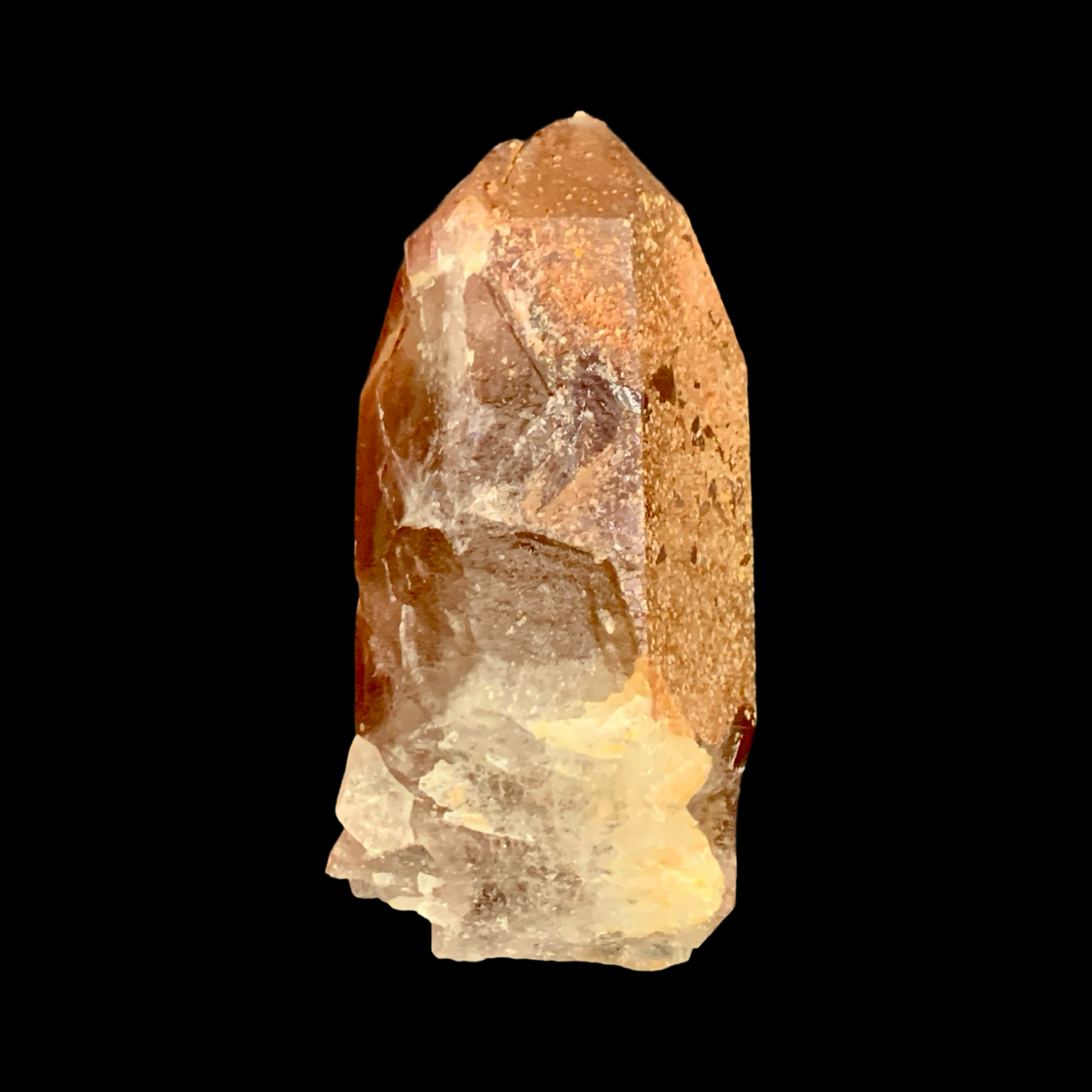 Tamarind Lemurian