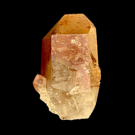 Tamarind Lemurian