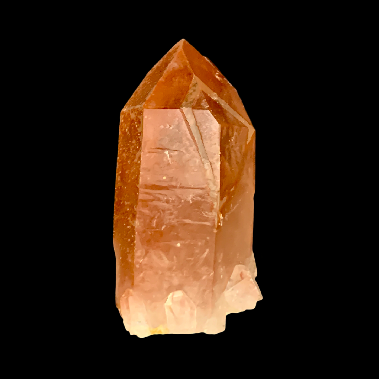 Tamarind Lemurian