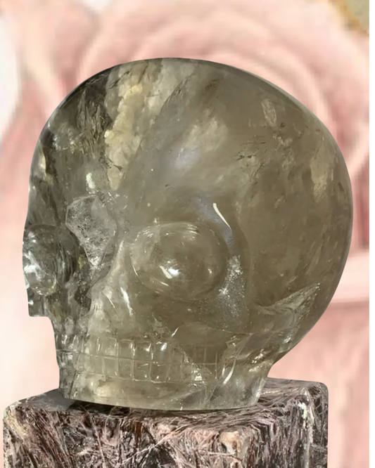 Leandro De Souza Master Skull-100#1 Lodolite Magical Child with Multiple Manifestations