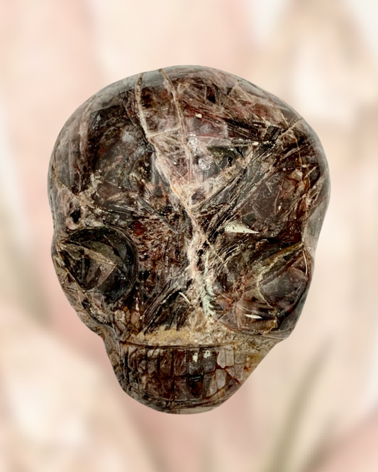 Fascia Jasper Magical Child Palmstone Skull Carved by Leandro De Souza