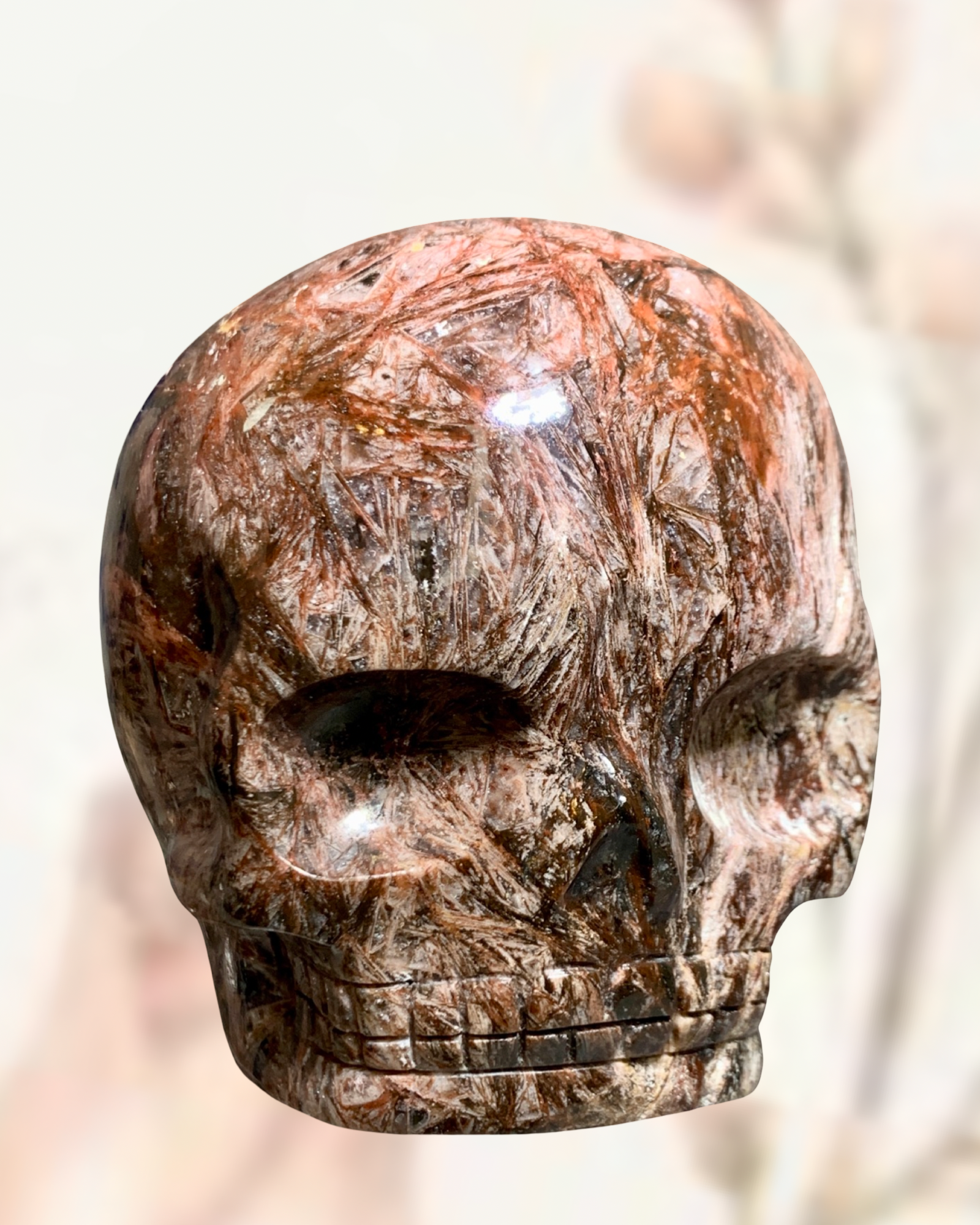 Fascia Jasper Magical Child Skull Carved by Leandro De Souza
