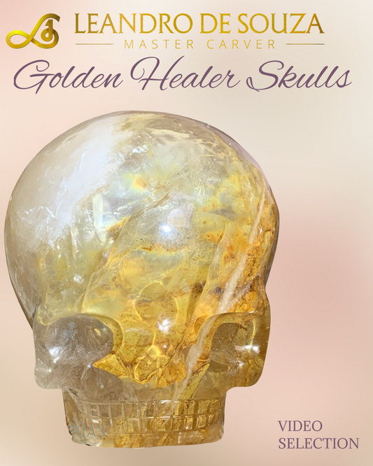 Leandro De Souza Golden Healer Magical Child Skulls-Video Sale