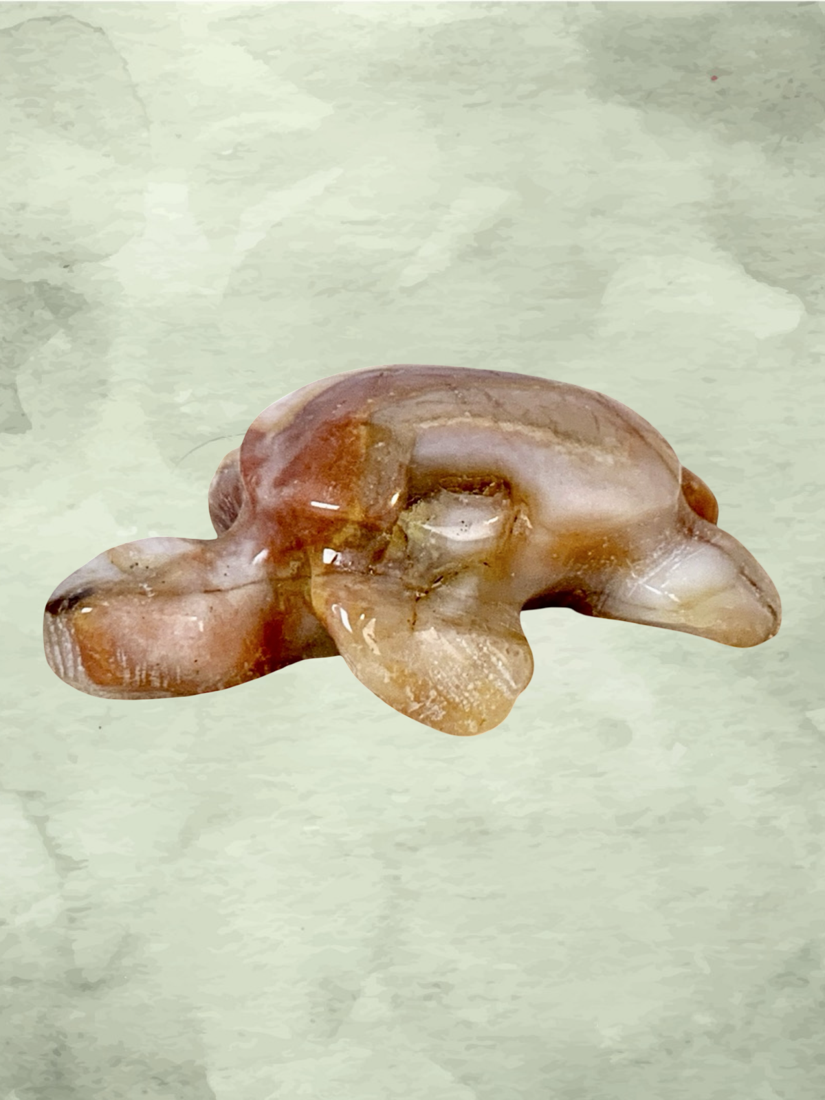 Fascia Jasper Mini Turtles