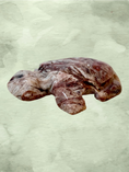 Load image into Gallery viewer, Fascia Jasper Mini Turtles
