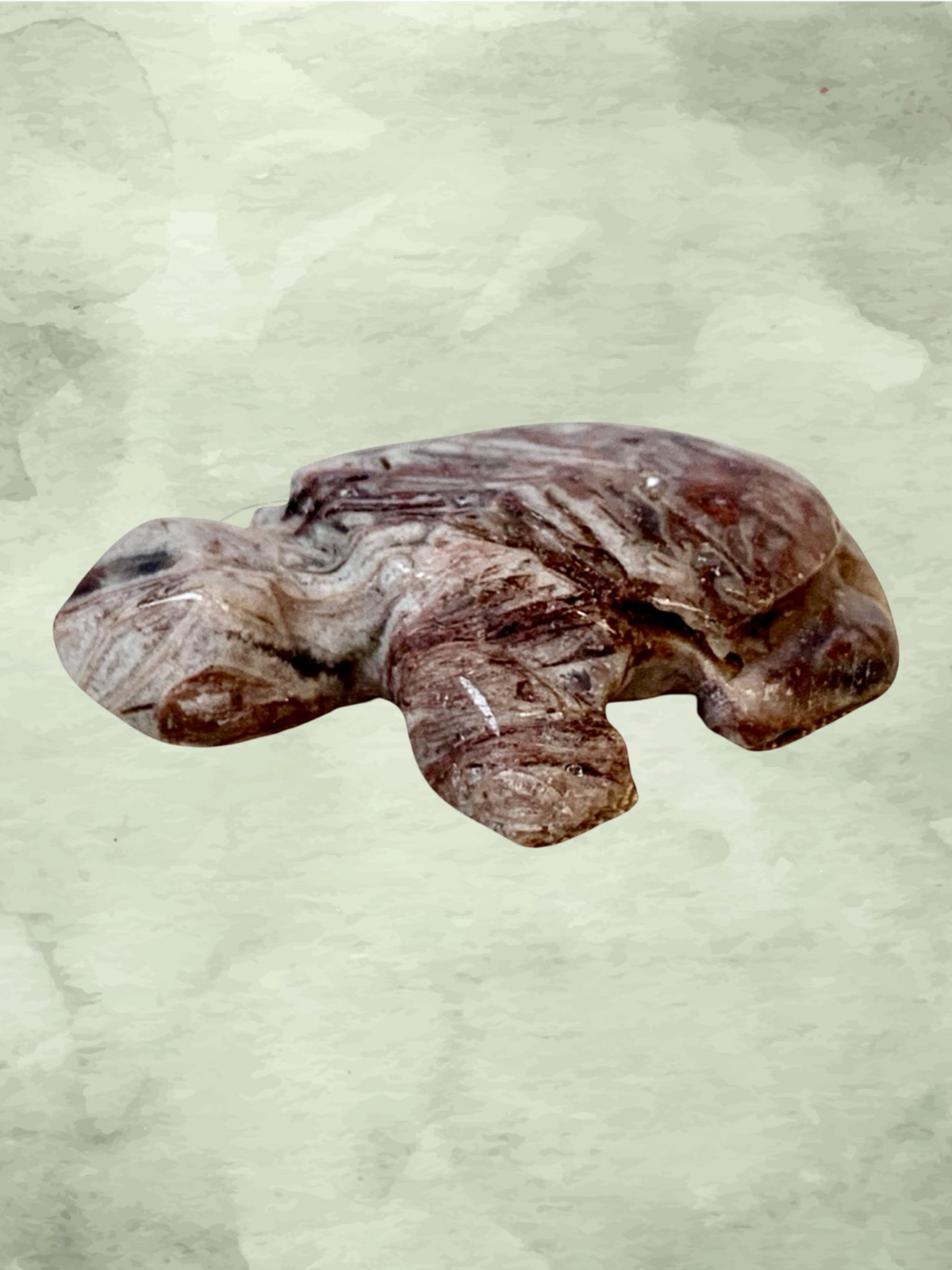 Fascia Jasper Mini Turtles