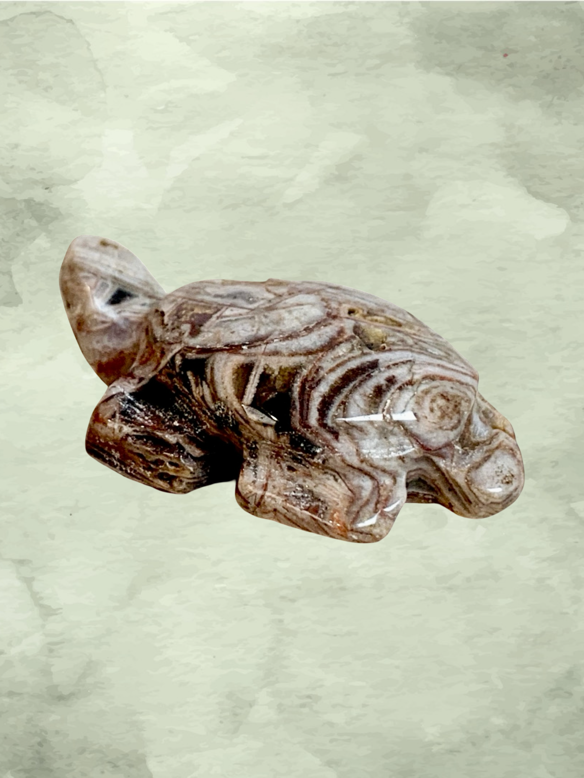 Fascia Jasper Mini Turtles