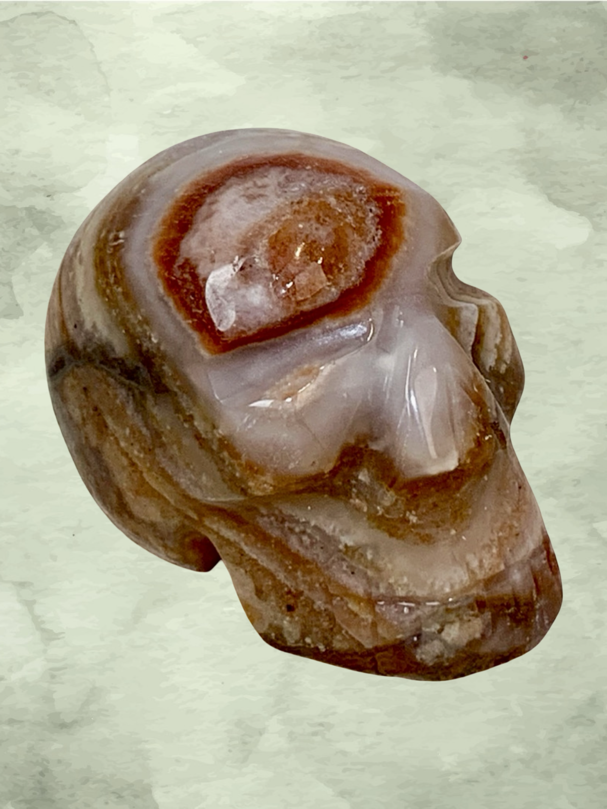 Fascia Jasper Mini Skulls