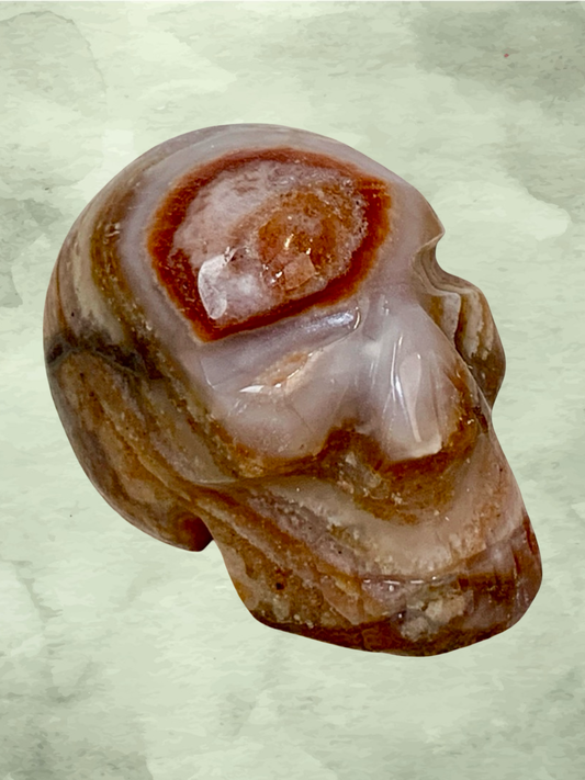Fascia Jasper Mini Skulls