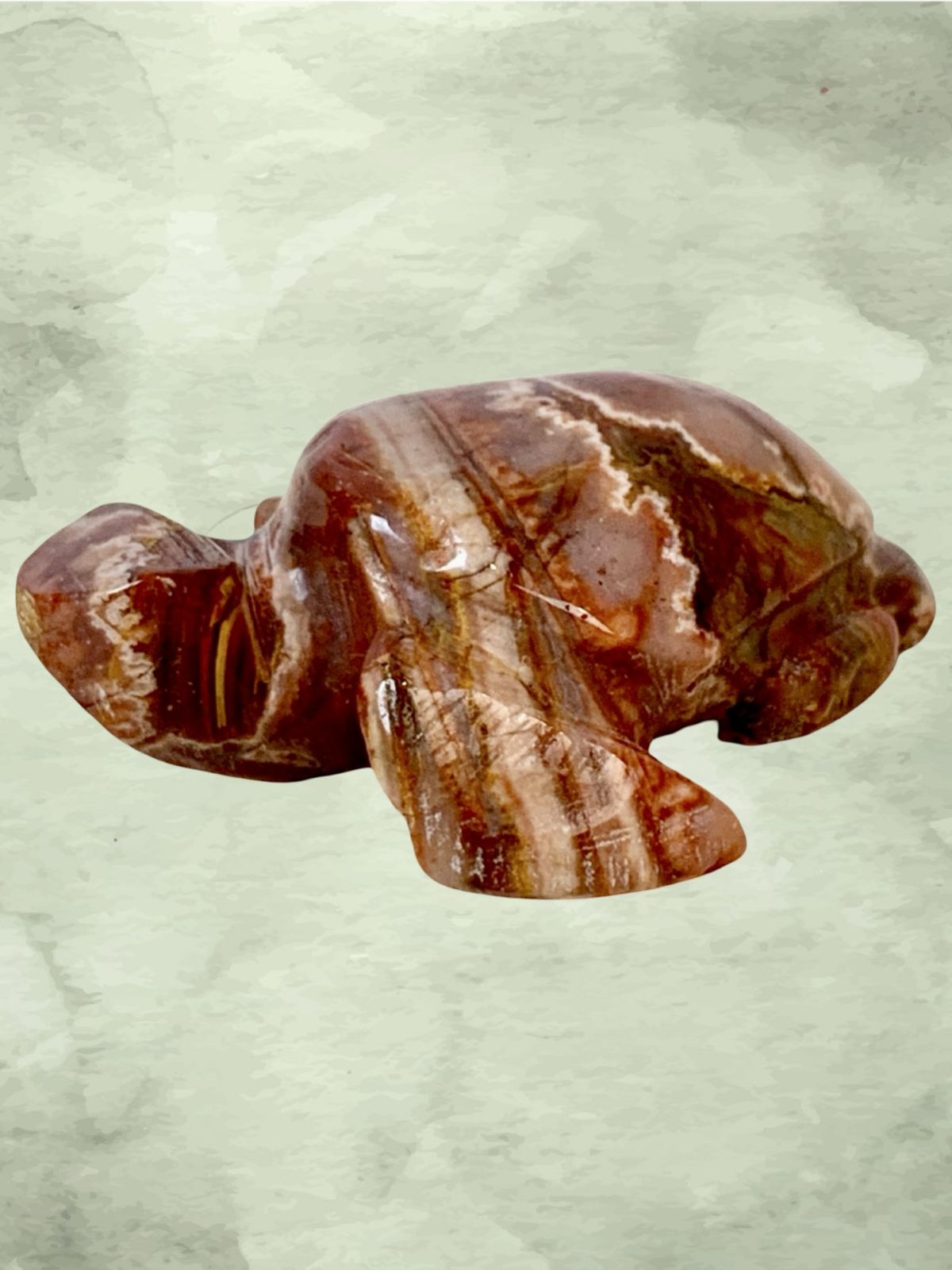 Fascia Jasper Mini Turtles