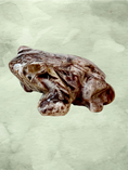 Load image into Gallery viewer, Fascia Jasper Mini Frogs

