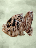 Load image into Gallery viewer, Fascia Jasper Mini Angelfish
