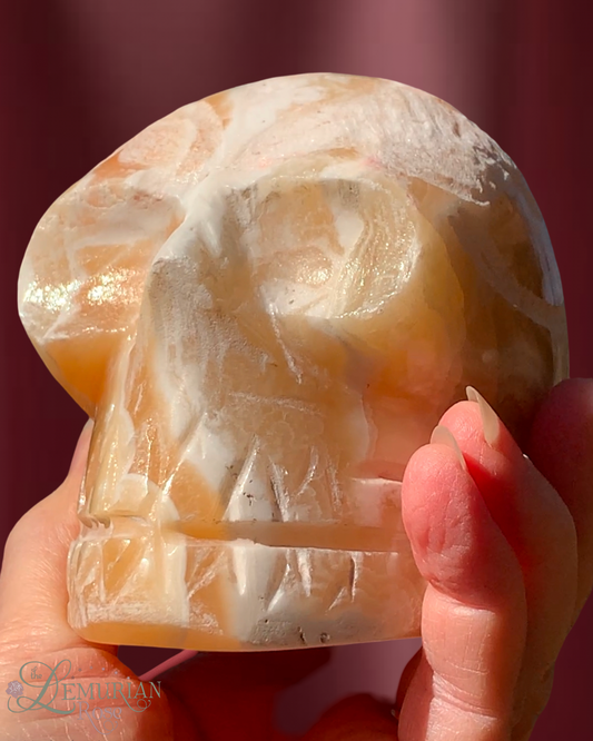 Alabaster Skull by Mody Ra