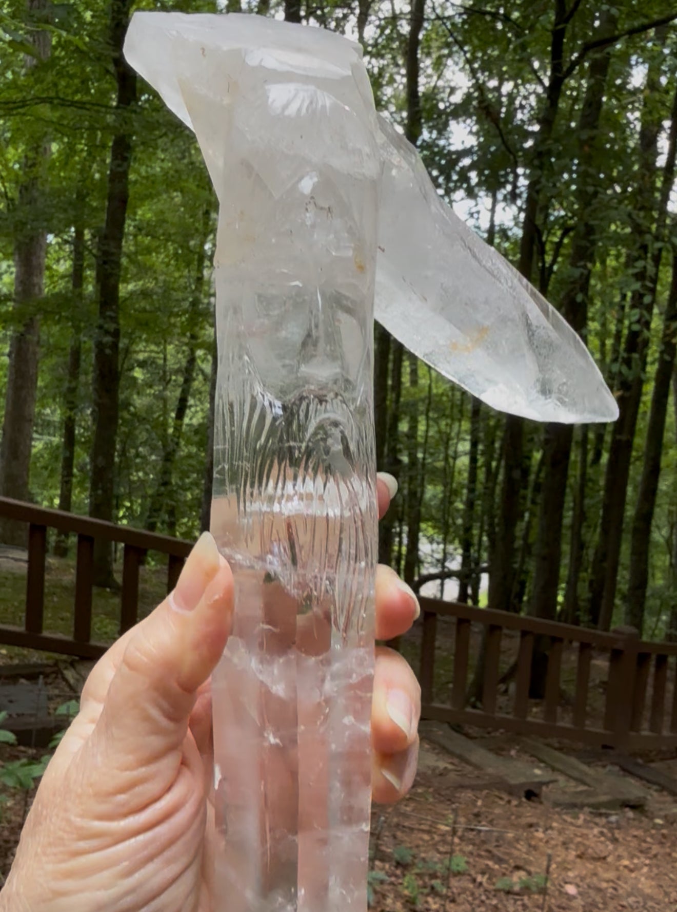 Leandro De Souza Christ Wand