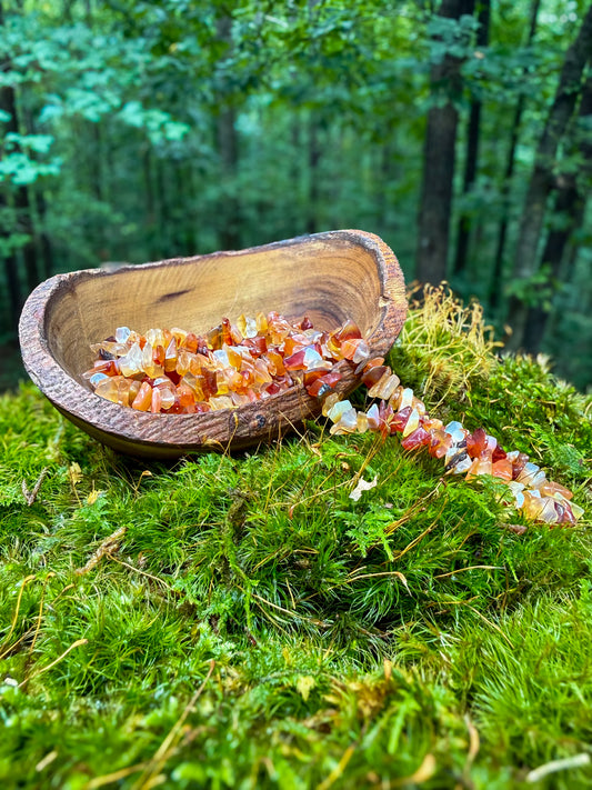 Carnelian Long Chip Necklace