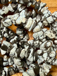 Load image into Gallery viewer, Snowflake Obsidian Long Chip Necklace
