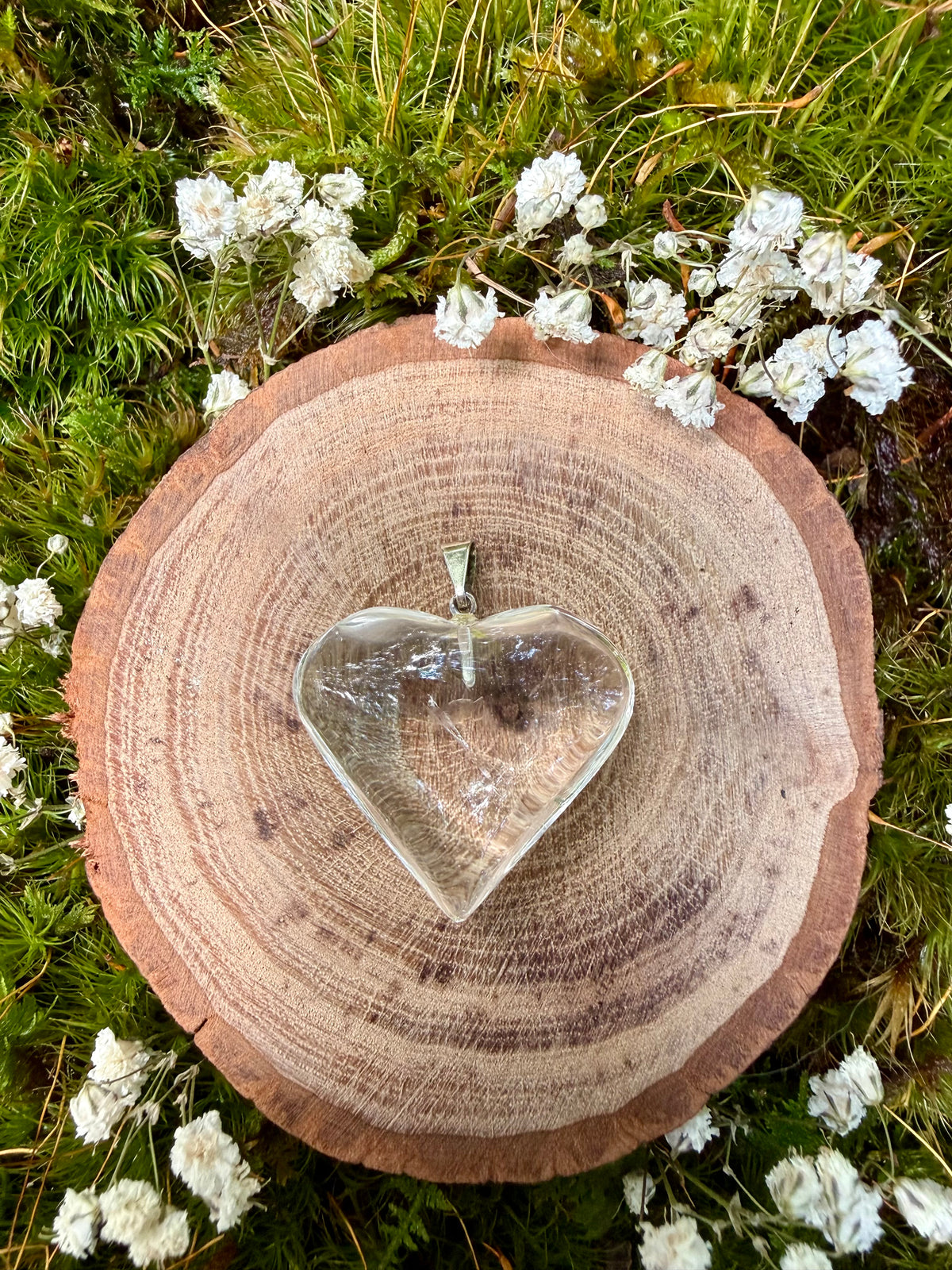 Lemurian Heart Pendant-The Watchers