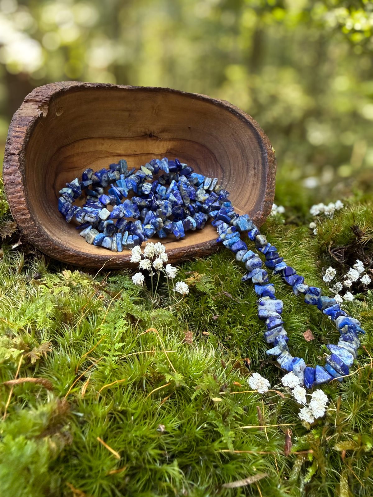 Lapis Lazuli Long Chip Necklace
