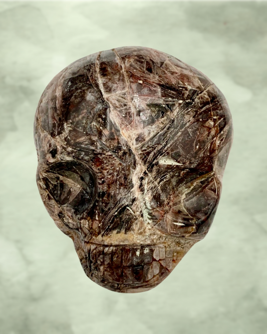 Fascia Jasper Magical Child Palmstone Skull Carved by Leandro De Souza