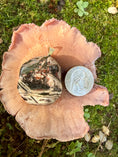Load image into Gallery viewer, Fascia Jasper Tumble Pendant
