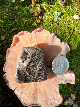 Load image into Gallery viewer, Fascia Jasper Tumble Pendant

