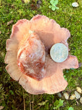 Load image into Gallery viewer, Fascia Jasper Tumble Pendant
