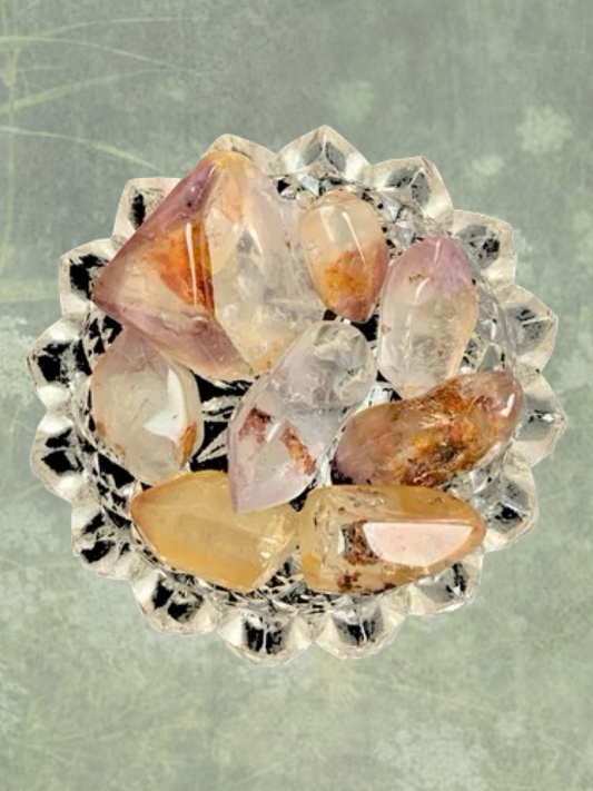Dreamcoat and Unity Lemurian Tumbles-Mixed