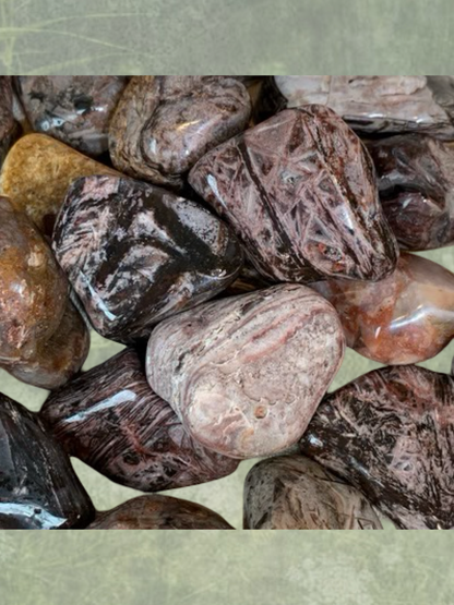 Fascia Jasper Tumbles