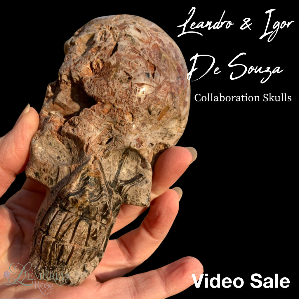 Leandro & Igor De Souza Collaboration Skulls