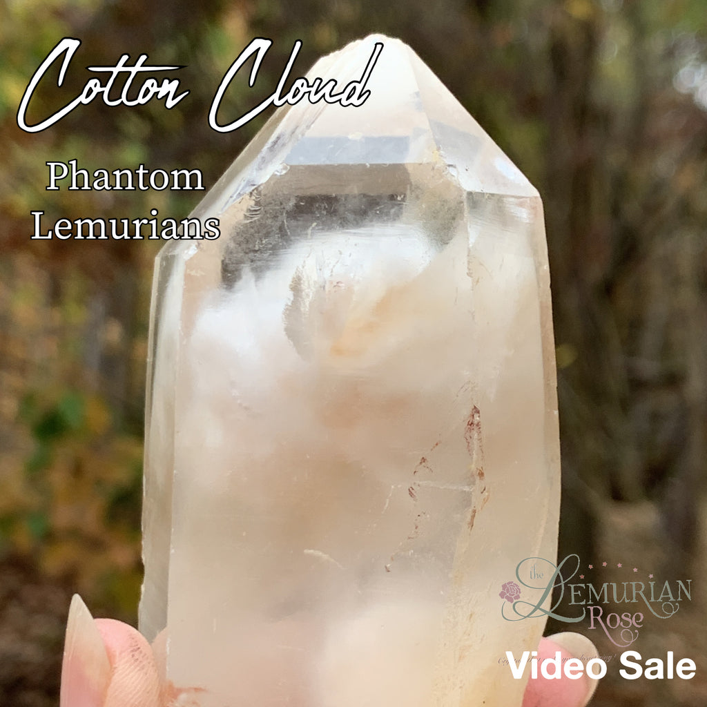 Cotton Cloud Lemurian Phantoms-Video Sale