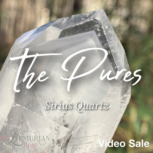 The Pure-Video Sale