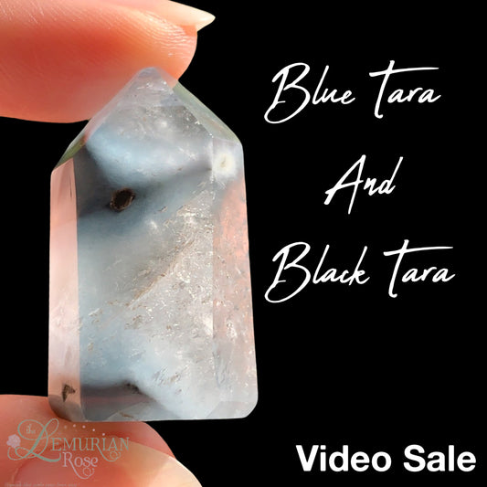 Polished Blue Tara and Black Tara