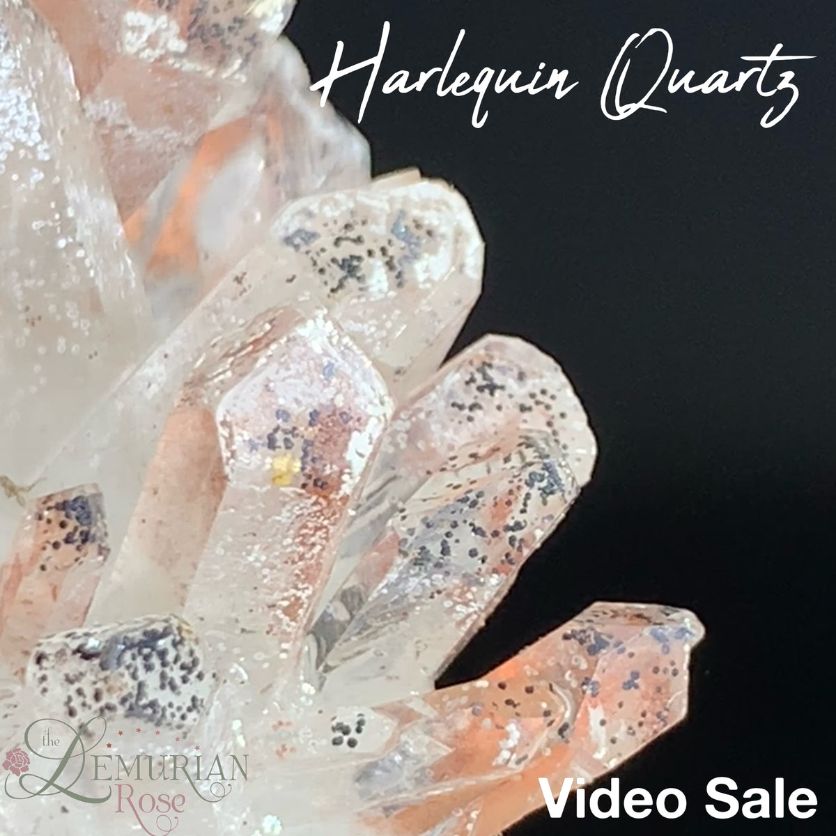 Harlequin Quartz