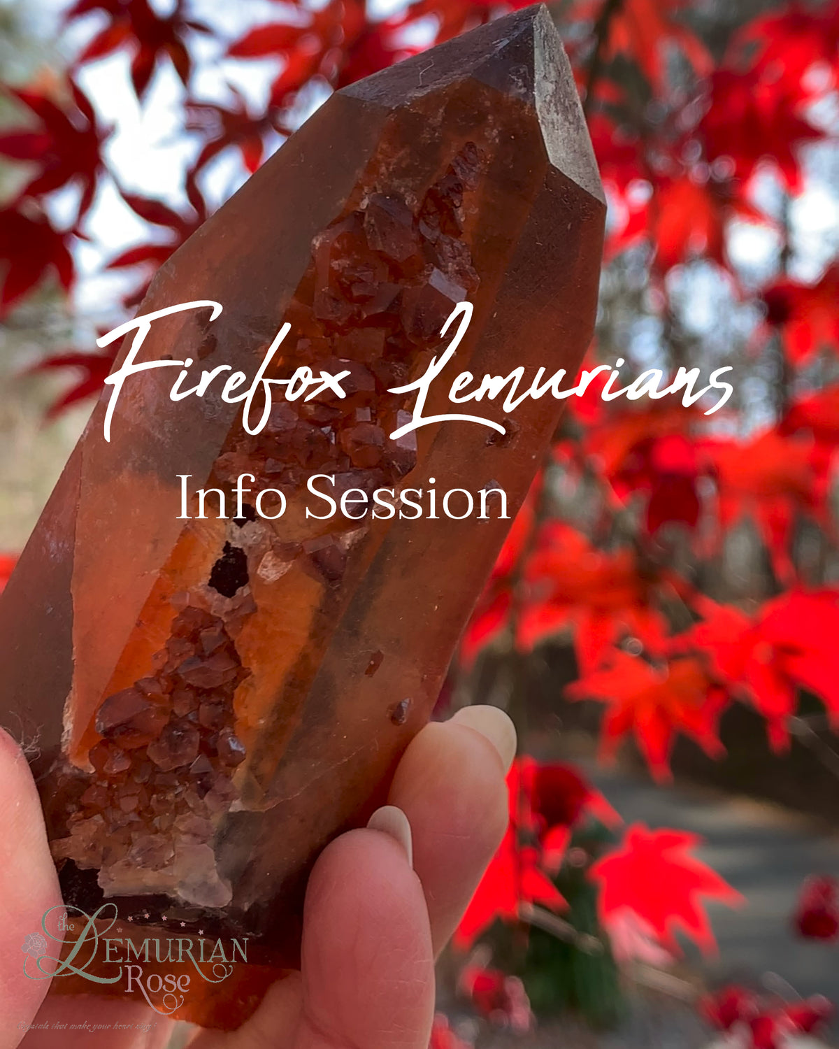 Firefox Lemurians Info Session🔥🦊