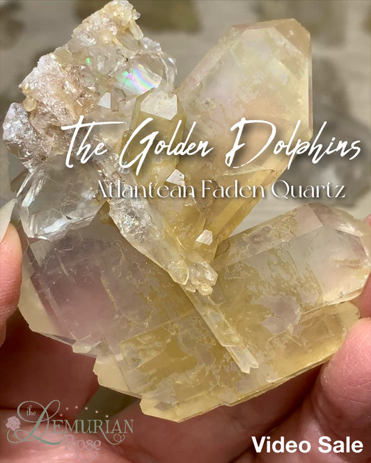 Faden Quartz (Atlantean)-The Golden Dolphins