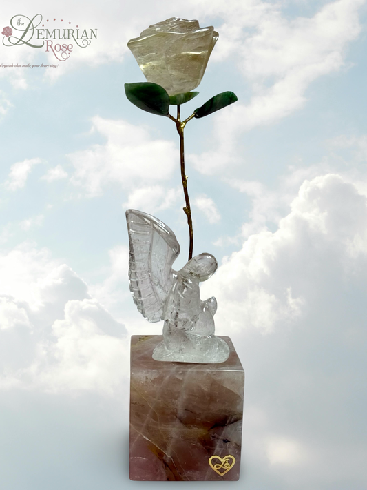 Leandro De Souza Angel/ Rose Set