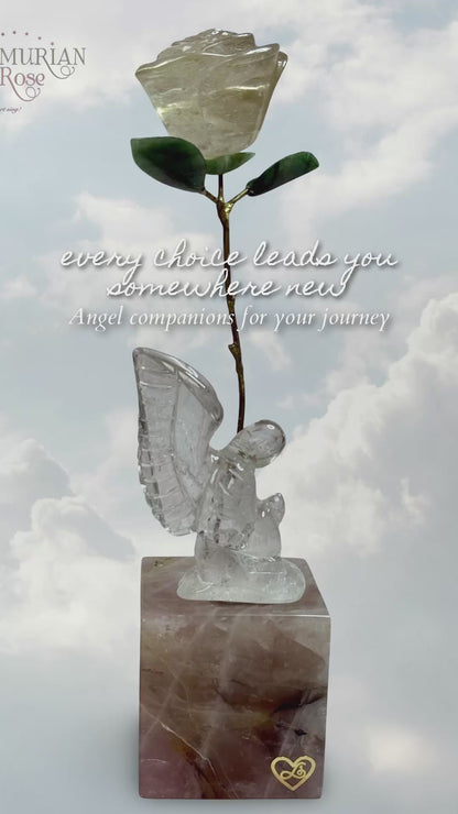 Leandro De Souza Angel/ Rose Set
