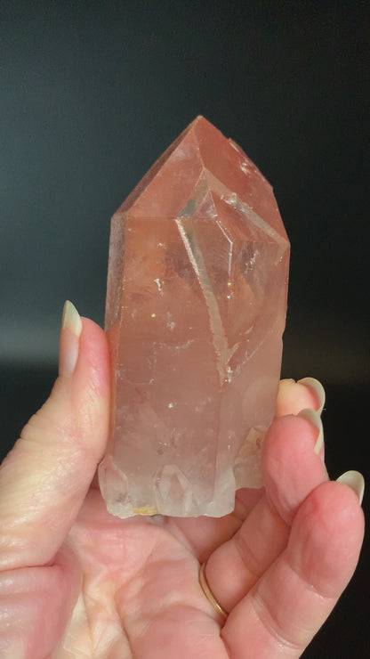 Tamarind Lemurian