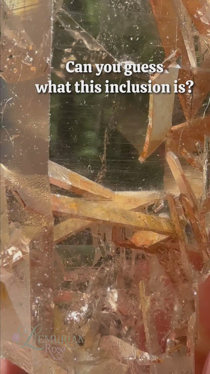 Mystery Inclusion Solved! Video Sale and Lab Report