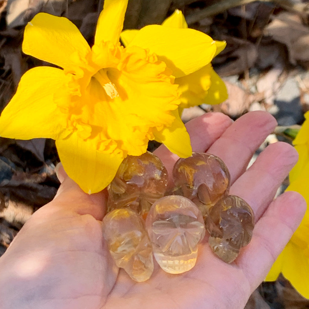 Citrine Mini Skulls