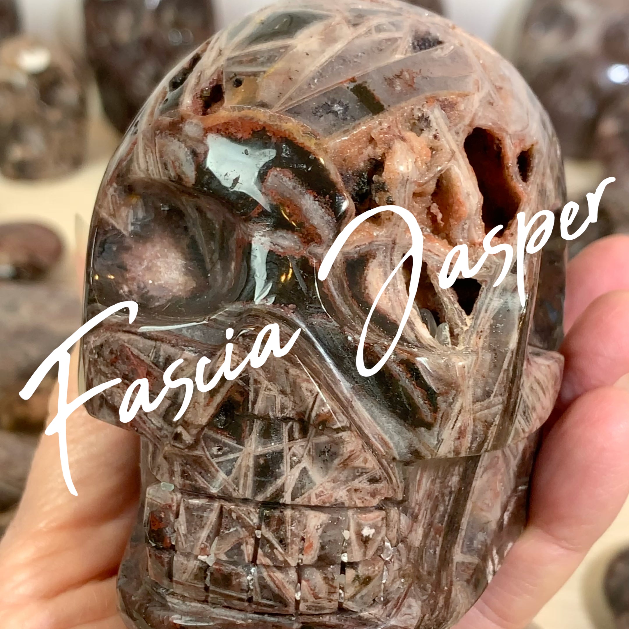 Fascia Jasper Skulls and Aliens-The Black Collection
