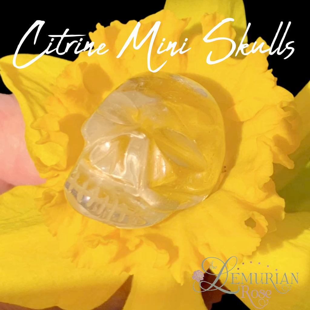 Citrine Mini Skulls