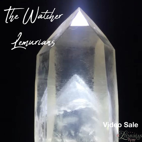 The Watcher Lemurians- Video Sale