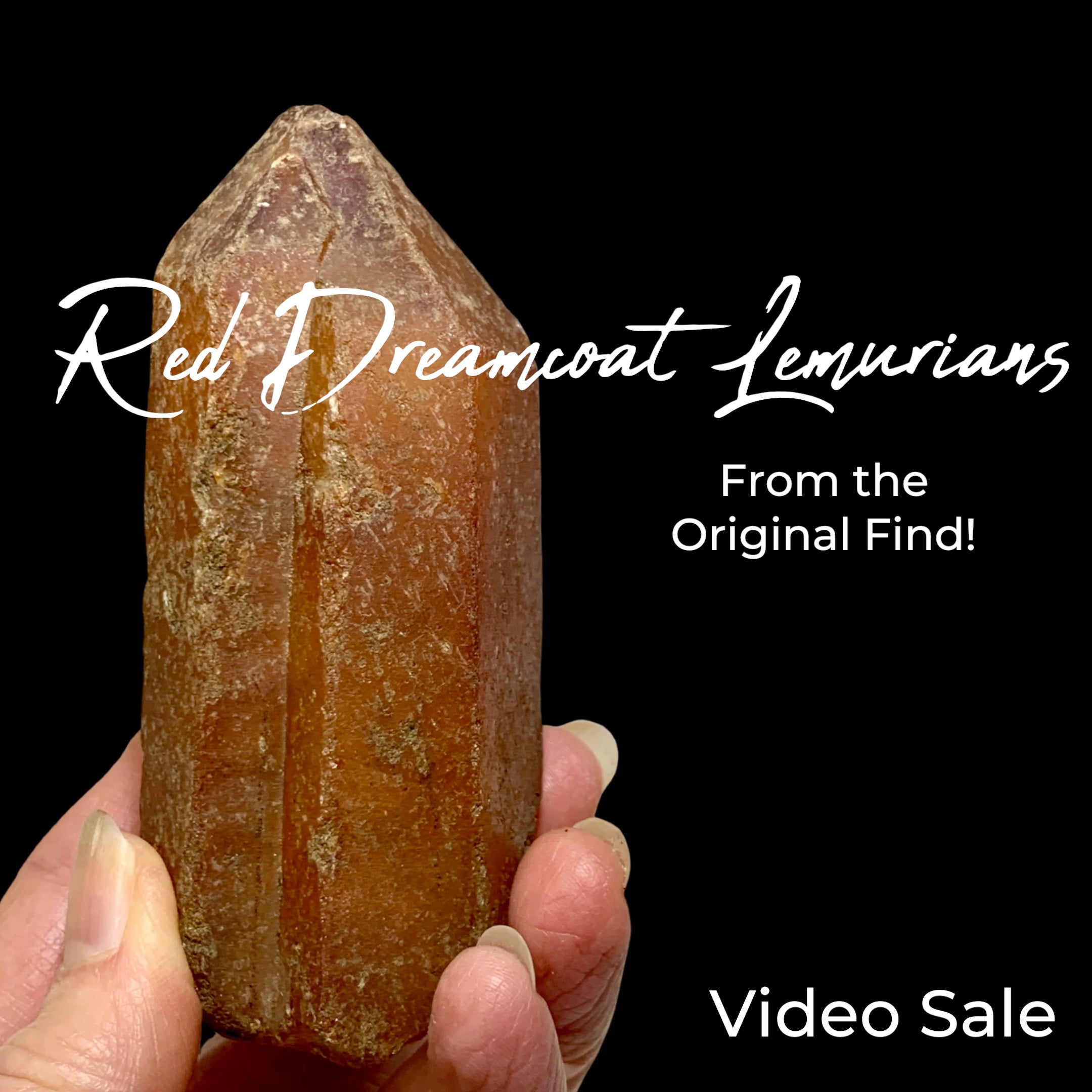 Red Dreamcoat Lemurian Points-Video Sale