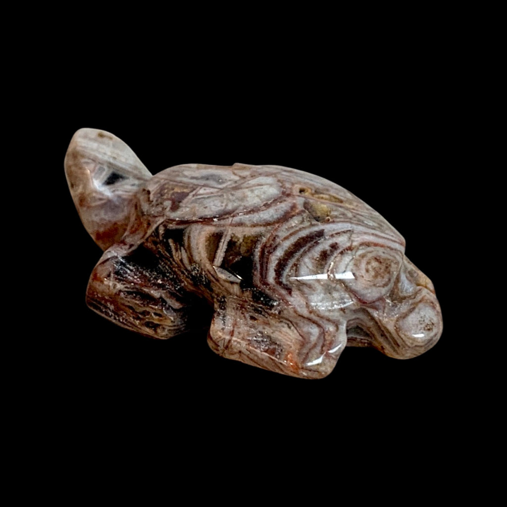 Fascia Jasper Mini Turtles