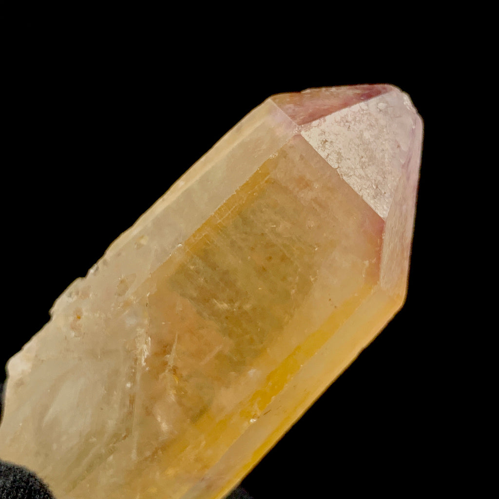 Unity Lemurian with Manifestation