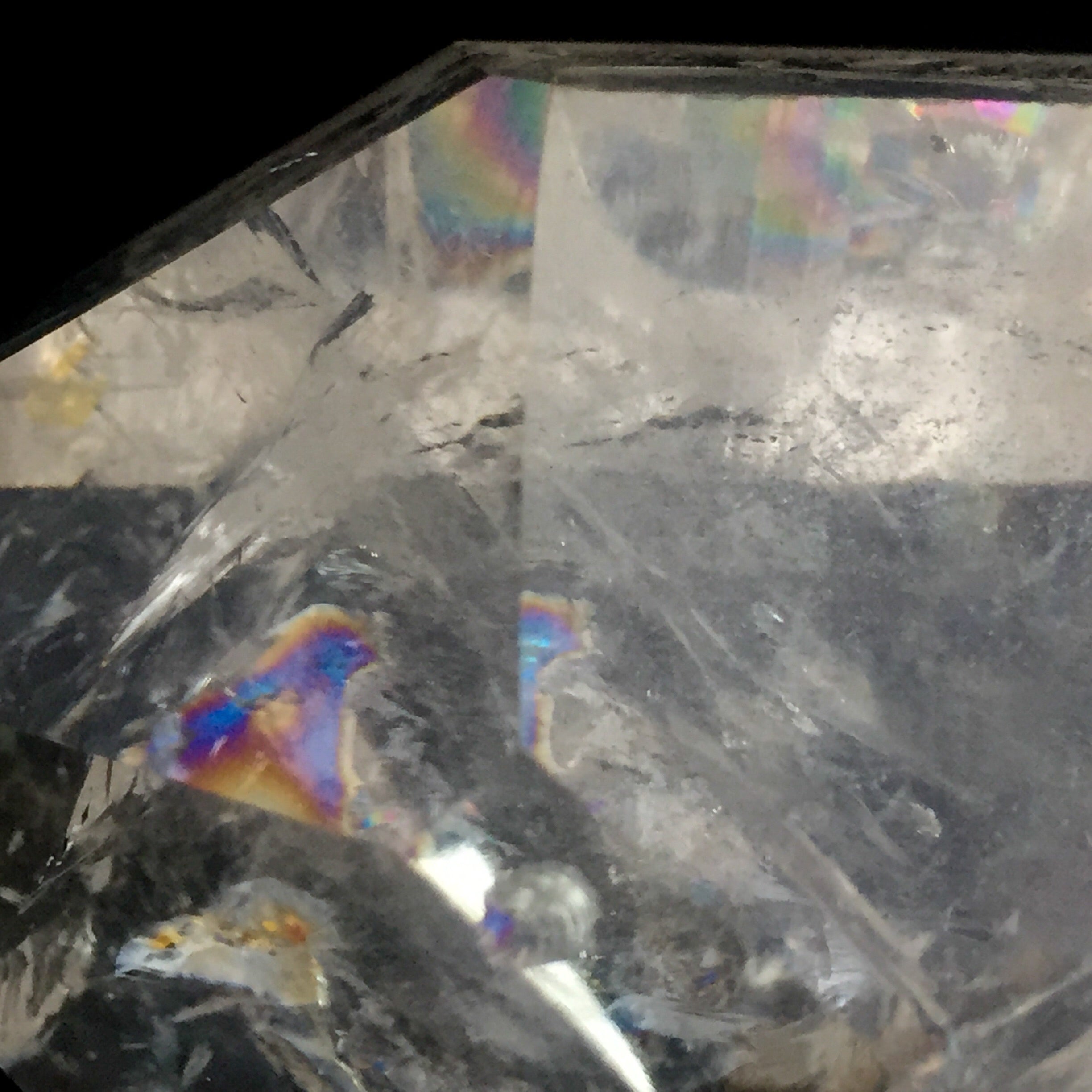 Standing Lemurian Point with Rainbows