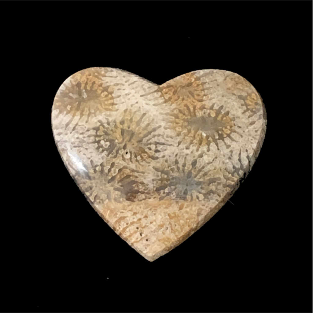 Agatized Coral Heart