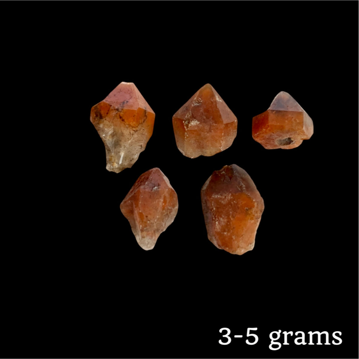 Dreamcoat Lemurians, Red -small